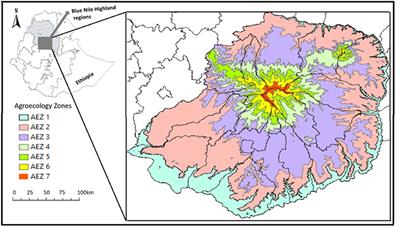 Changing Patterns of Tree Cover in a Tropical Highland Region and Implications for Food, Energy, and Water Resources